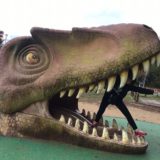 福井観光旅行・恐竜博物館　